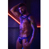 Breedwell Harnais Intimidator Breedwell Noir-Bleu